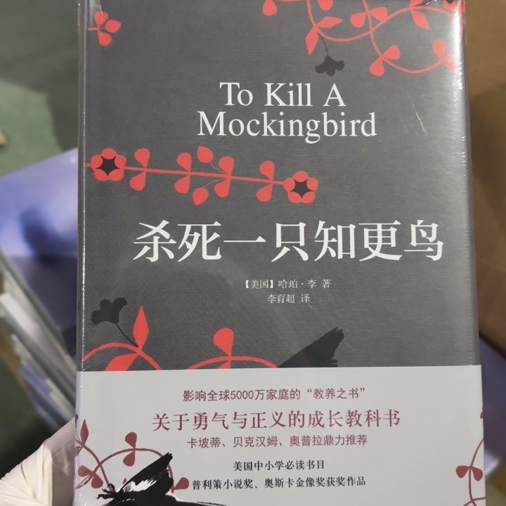 杀死一只知更鸟 闪购15