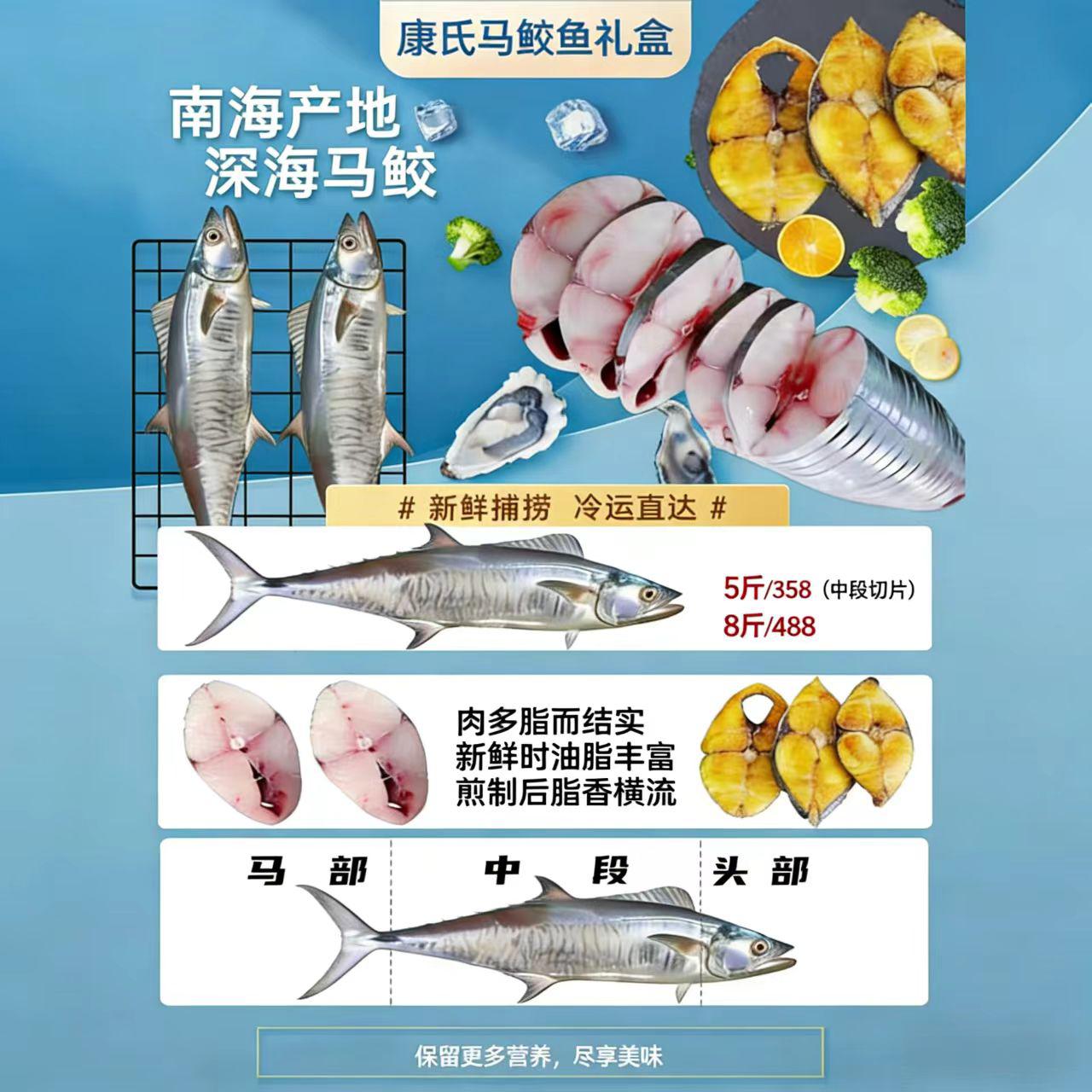  南海深海马鲛鱼礼盒 5/8斤中段切片新鲜捕捞冷运直达 肉厚脂香
