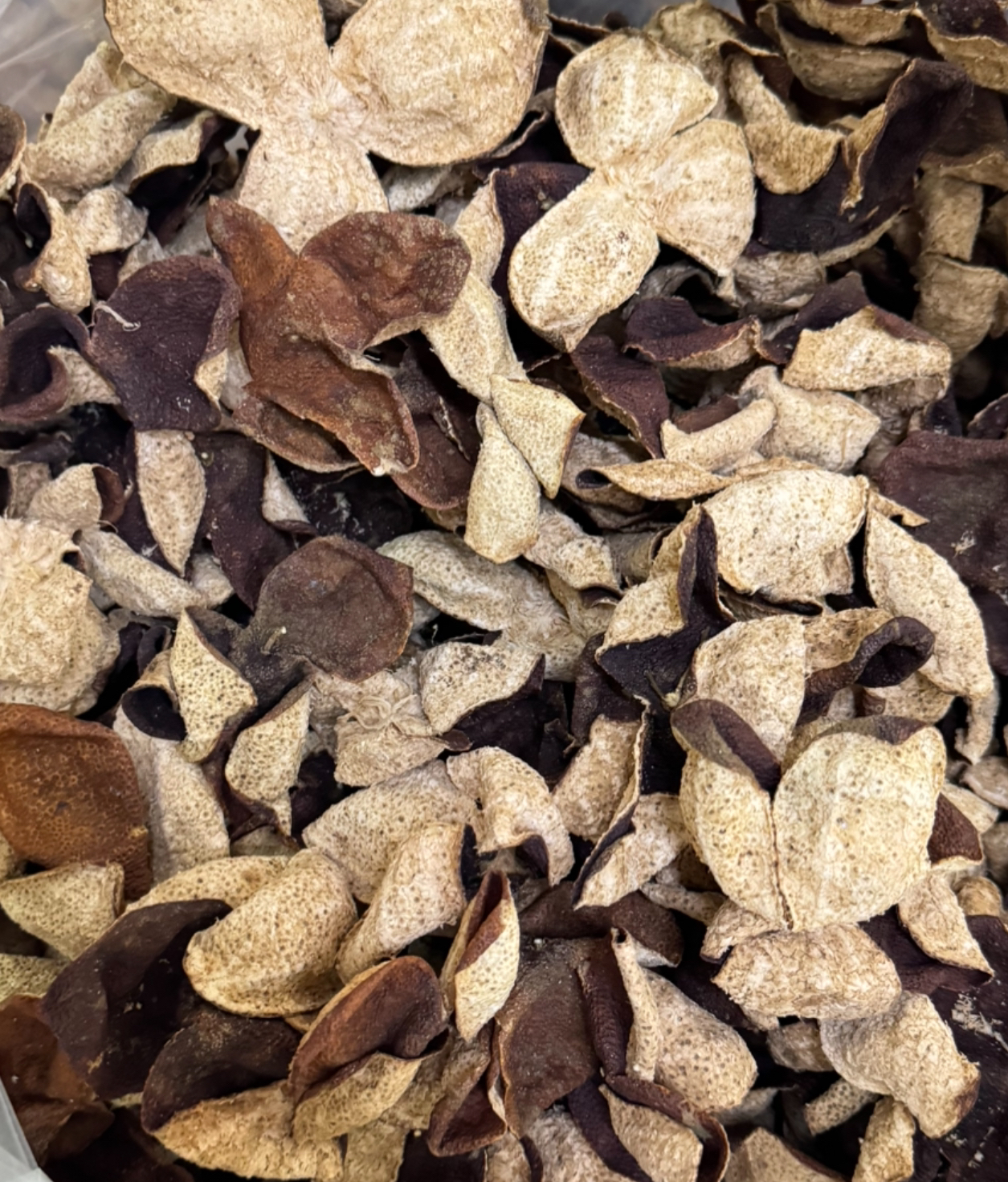 浦北茶枝柑～年份陈皮有些虫蛀过，介意勿拍