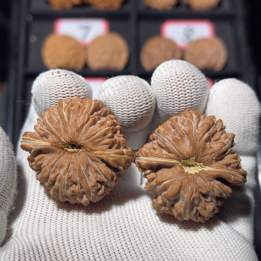 Y***️吊坠文玩核桃05秦皇岛山地果全品