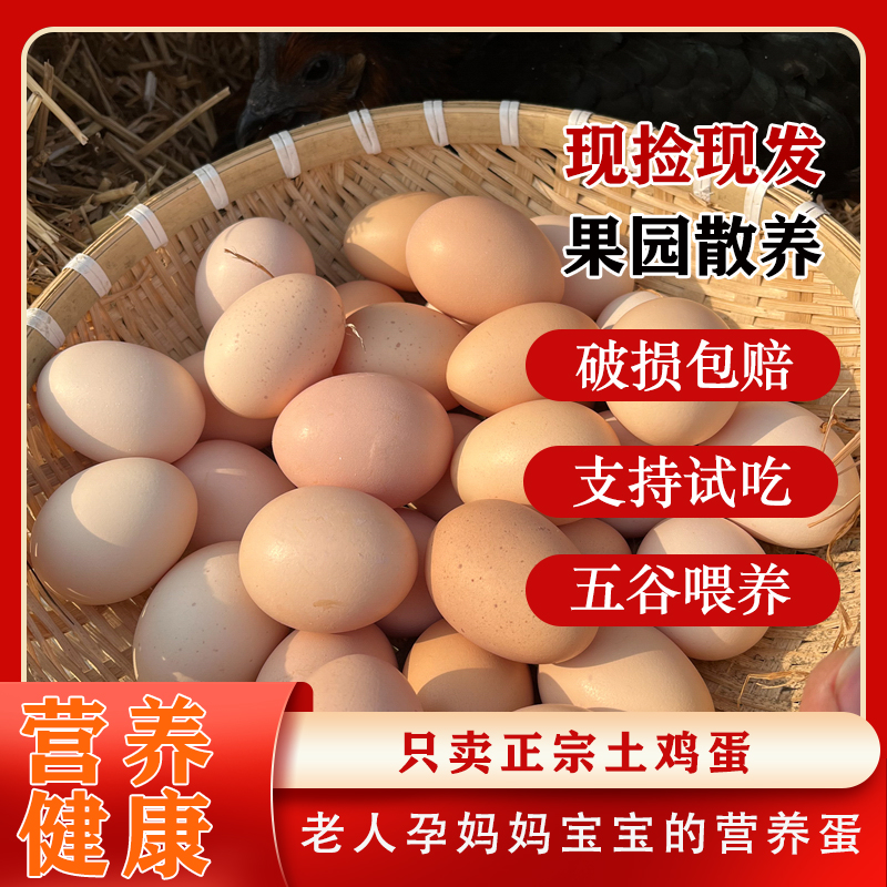 粉绿可选30枚苏北山地散养正宗农家新鲜营养土鸡蛋现捡现发  
