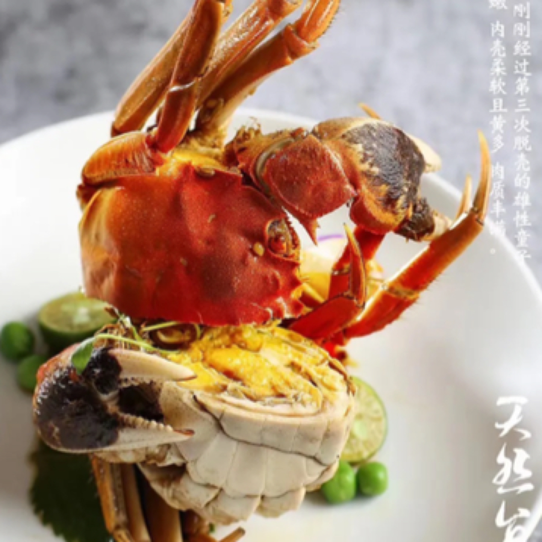 精品六月黄18只送2只