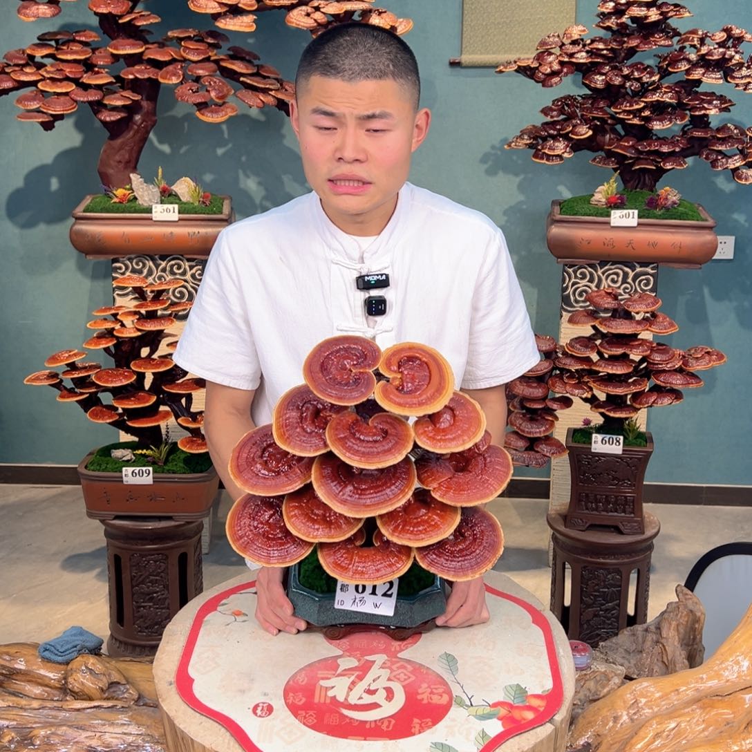 无花朵08888888888888