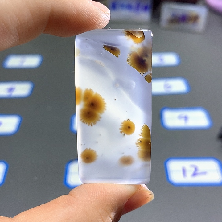 未镶嵌颈饰玛瑙/玉髓