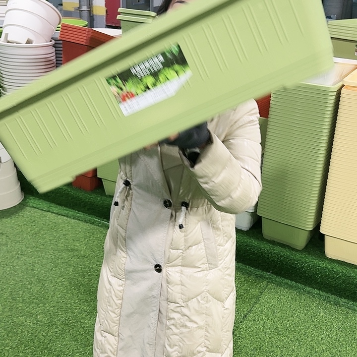 特价长方形长67宽34高18.5果绿2只