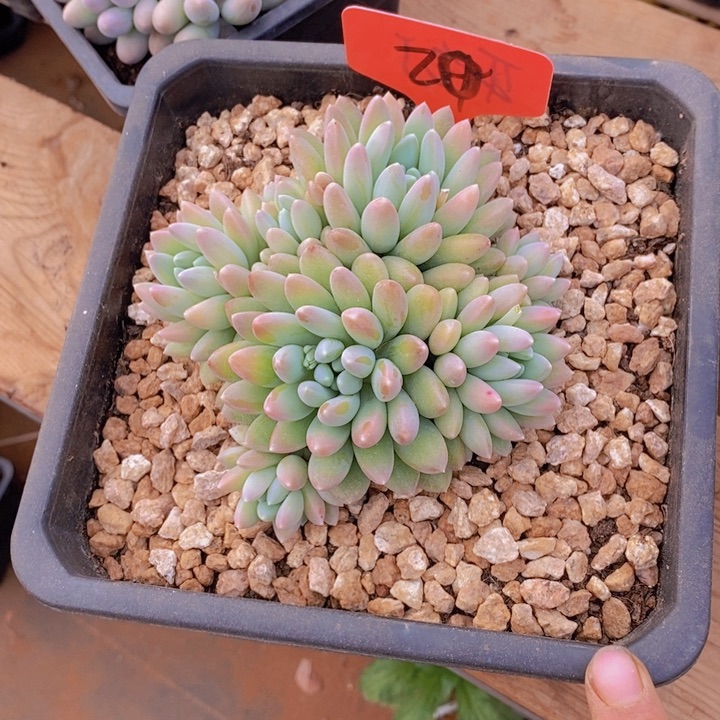 夏***年这个点睡起来都会