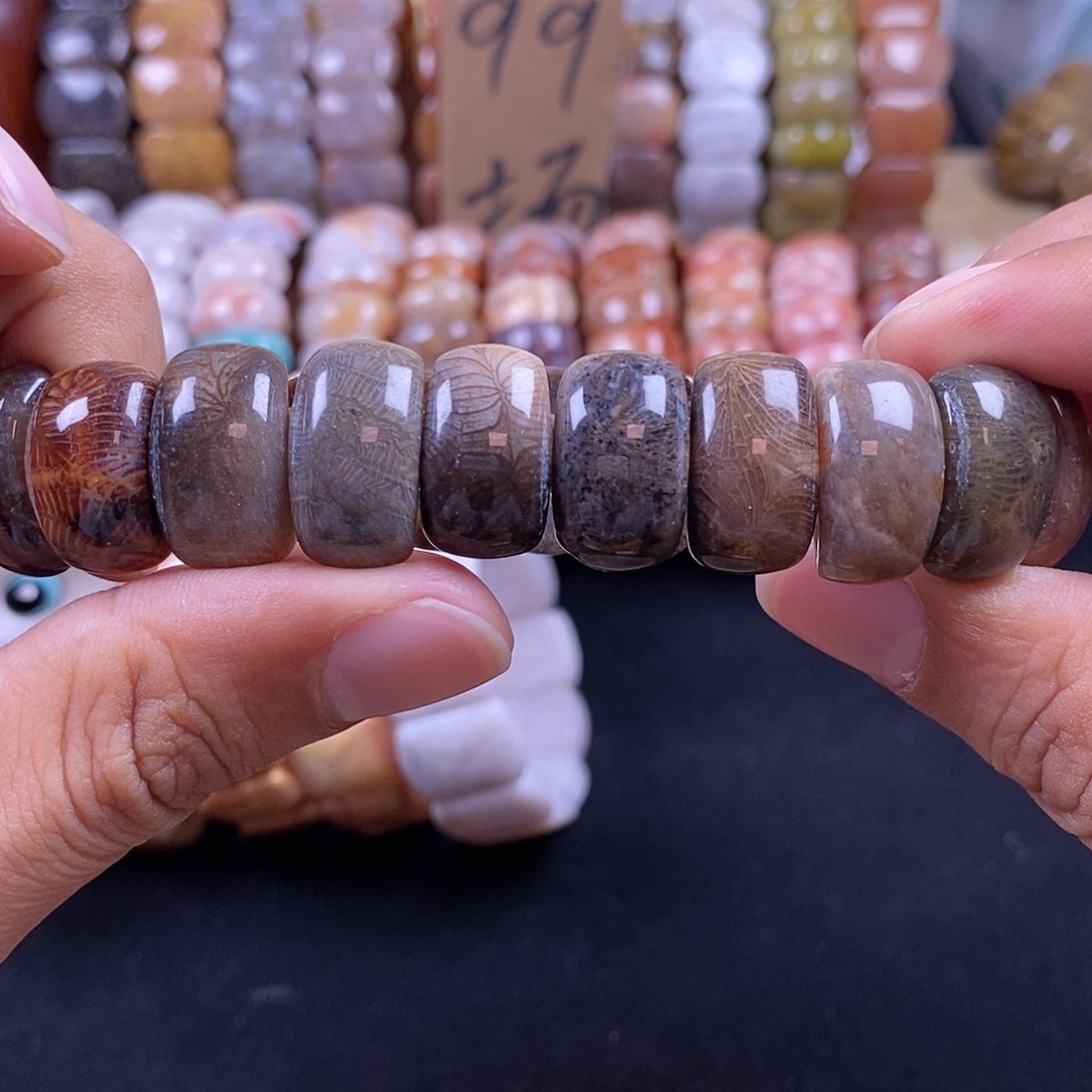 硅化珊瑚（珊瑚玉）未镶嵌手串黑虫凤28