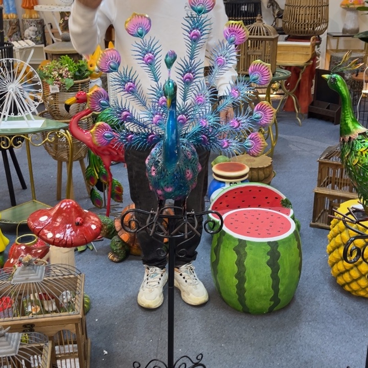 哈哈哈哈哈哈哈哈孔雀