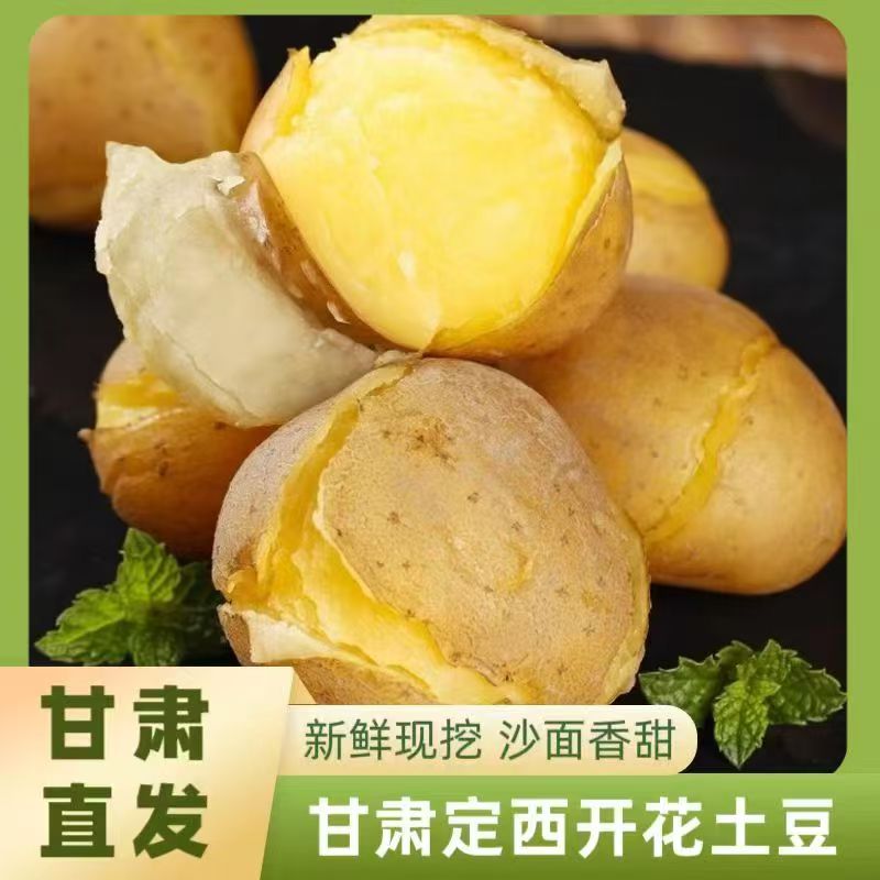 【甘肃特产】定西高原现挖沙面黄心土豆农家马铃薯沙瓤洋芋5斤/9斤