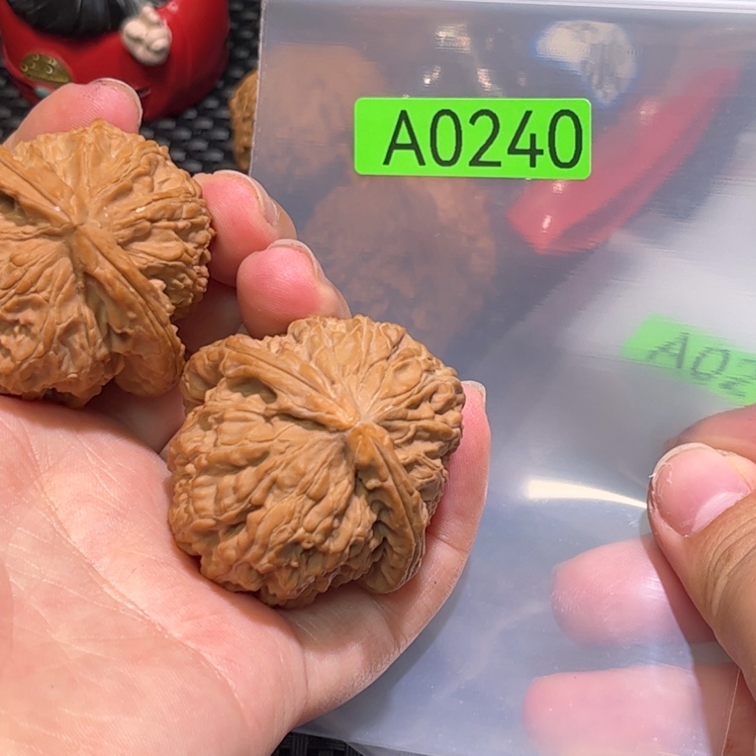 文玩核桃吊坠43白狮子全品