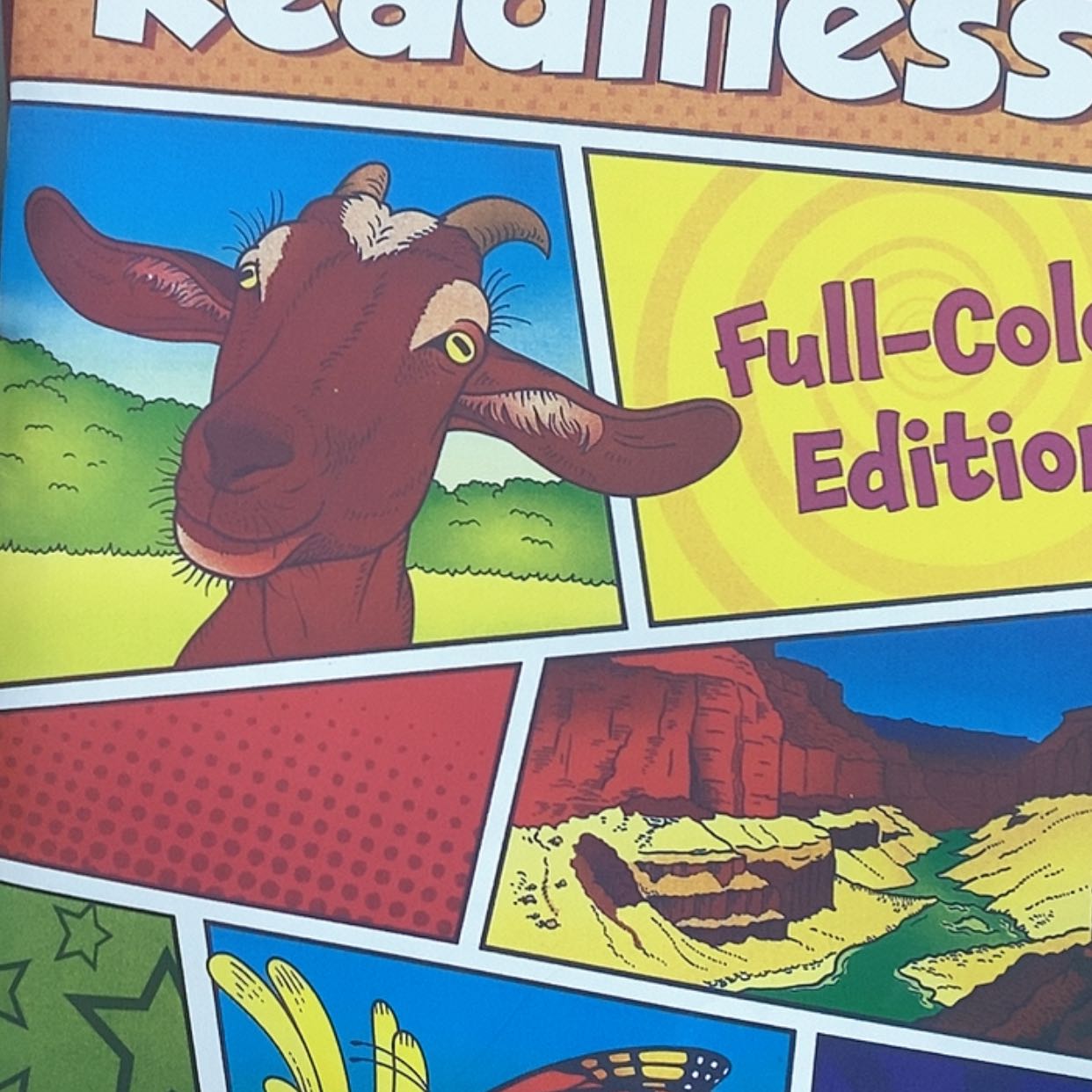 【闪购商品】阅读22本蝌蚪