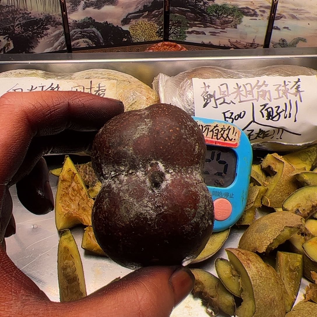 北***司骨灰级今年就不不不不不