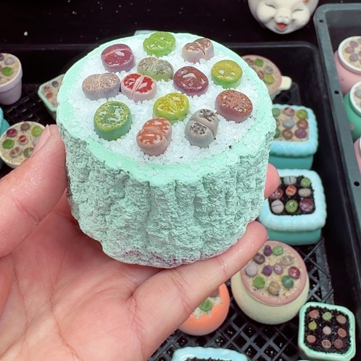 547凑满18包邮零下地区记得拍保温箱