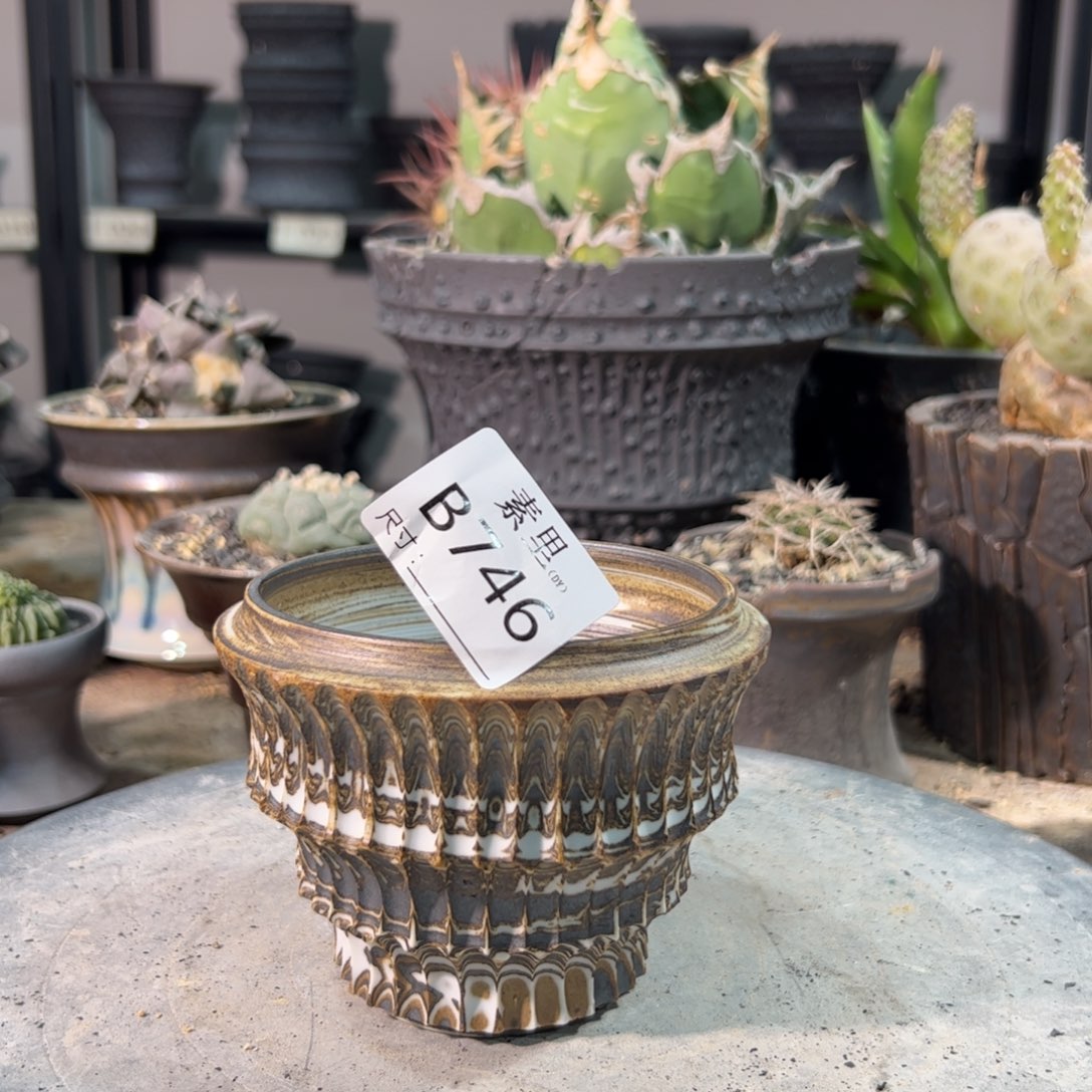 景德镇素里手工内口9.5袋8.5