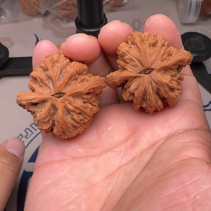 桃核把件山地麦虎43尺9