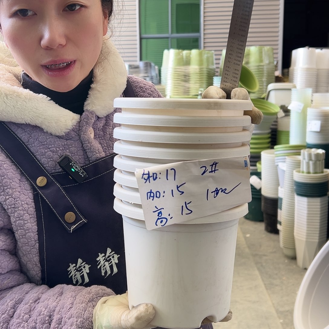 四季盆2#白色10个无托