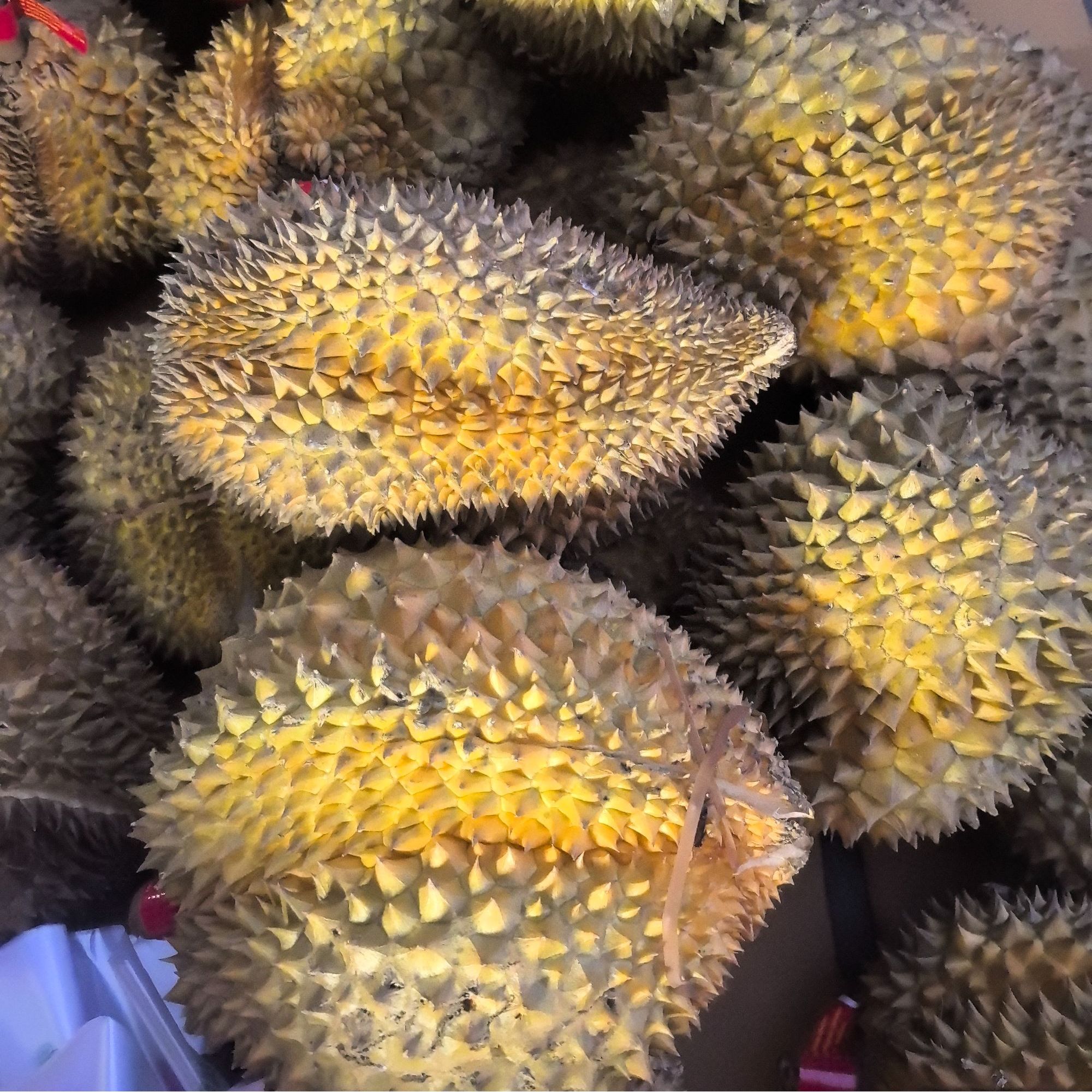 【榴莲小时达】17.9泰国金枕树熟榴莲1250g起/鲜榴莲/核小不保出肉不挑果型介意者慎拍榴莲同城送金枕泰国