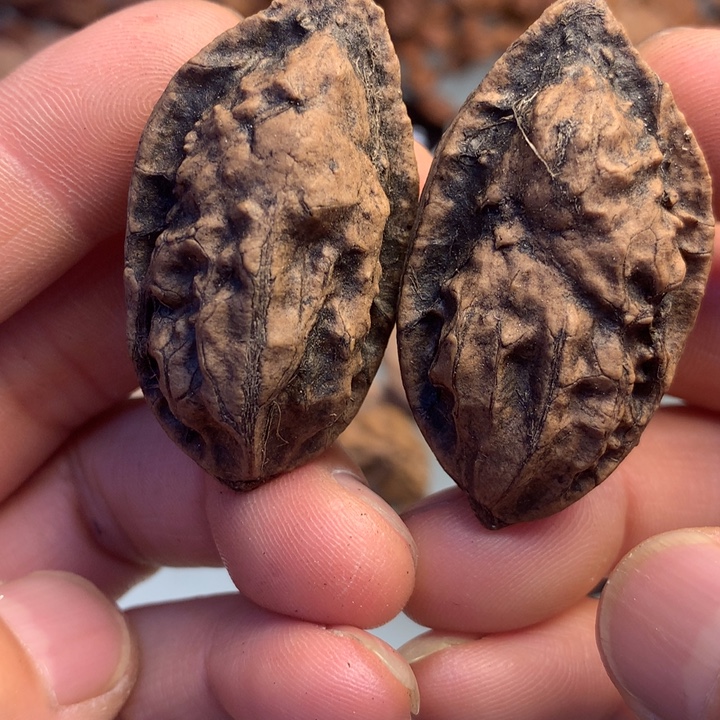 猴头核桃把件拿姐86