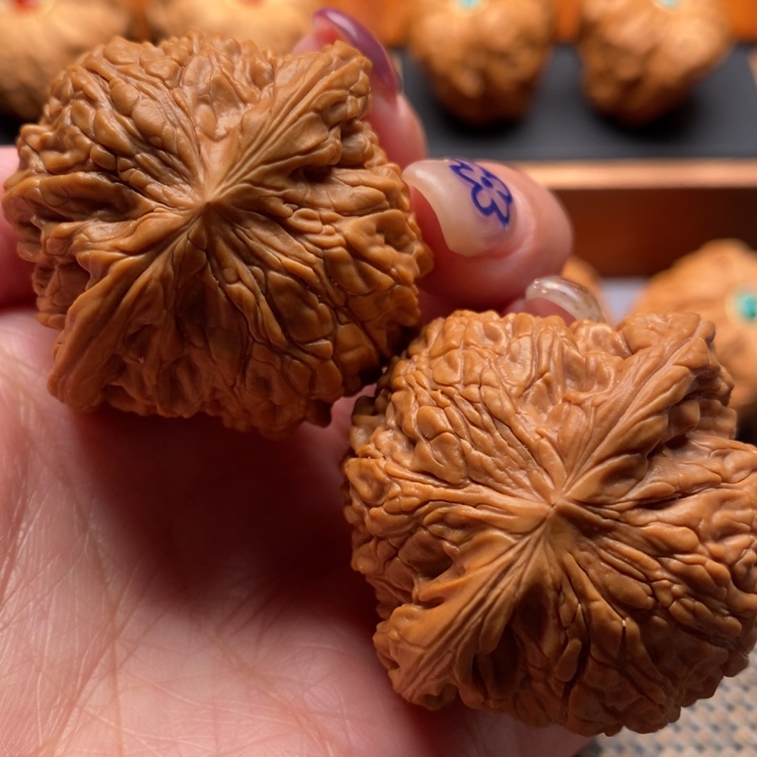 文玩核桃把件41尺寸正磨