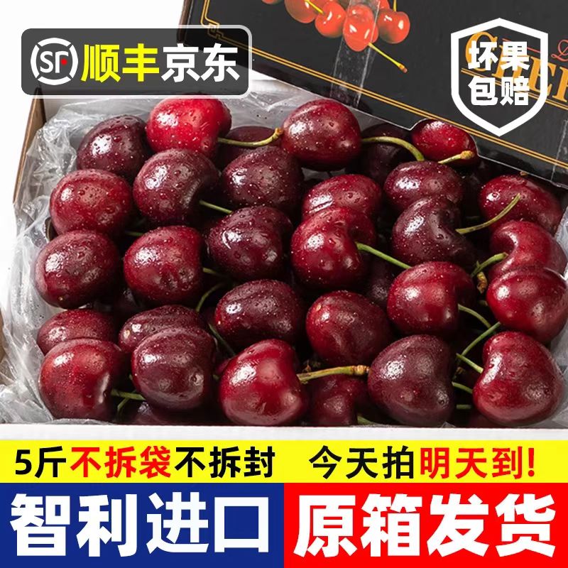 智利进口4J车厘子原箱5斤【顺丰京东今天拍明天到】孕妇宝宝海运内附果径卡F桑提娜樱桃智利共和国