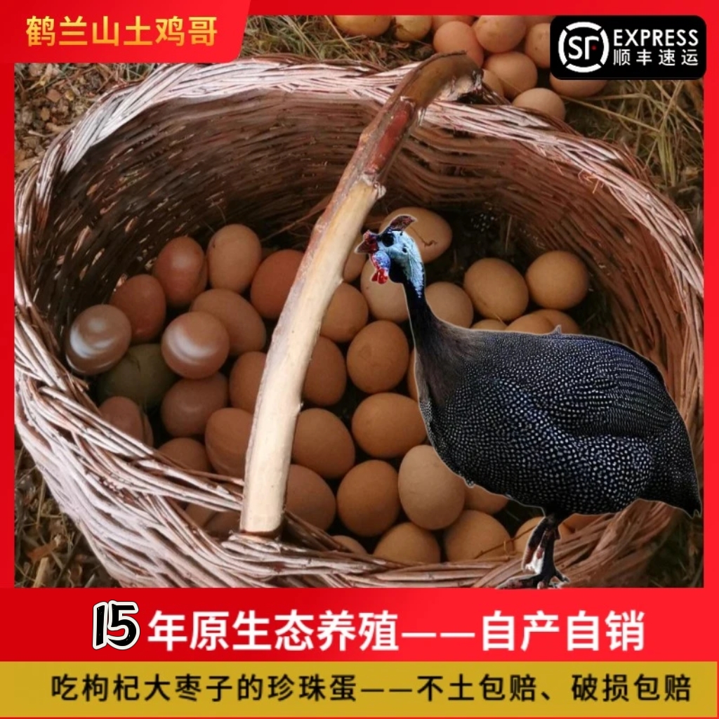 【土鸡哥】原生态放养珍珠蛋新鲜月子孕期宝宝辅食食用珍珠蛋