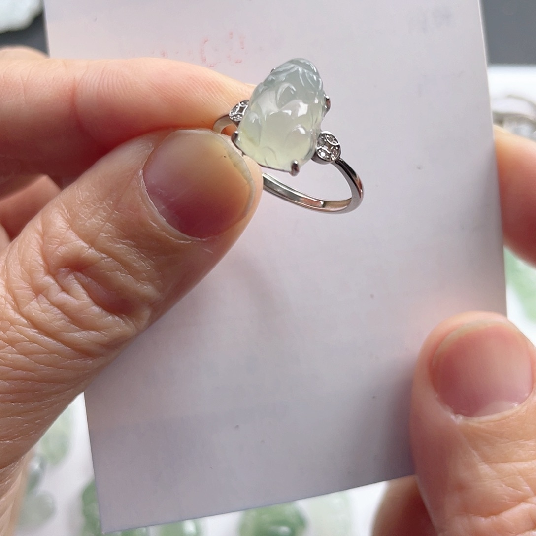 翡翠颈饰未镶嵌貔貅戒指