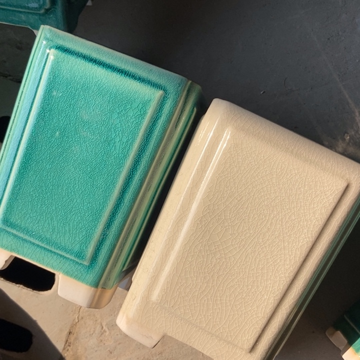 我是一只小小鸟地域