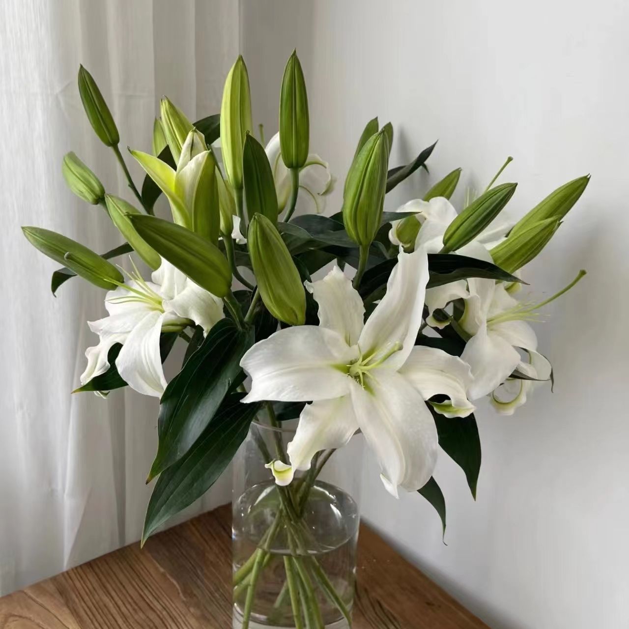 百合鲜花香水百合云南直发水养真花家用装饰摆件