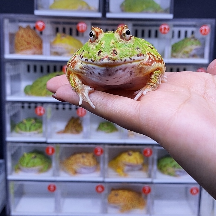 特价秒杀一切顺利