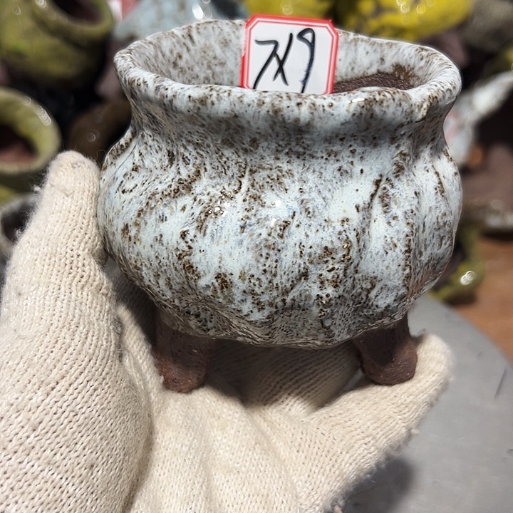 粗陶花盆制作就这样的支持