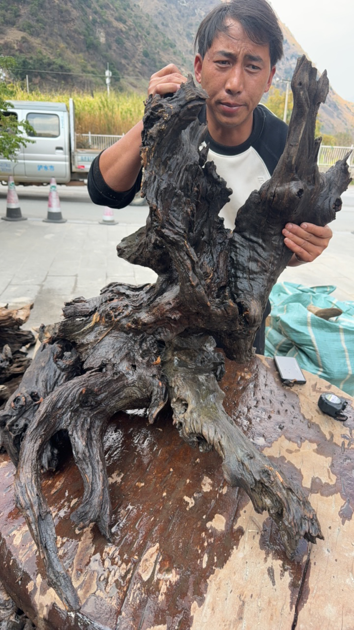 民间使用风化木树根