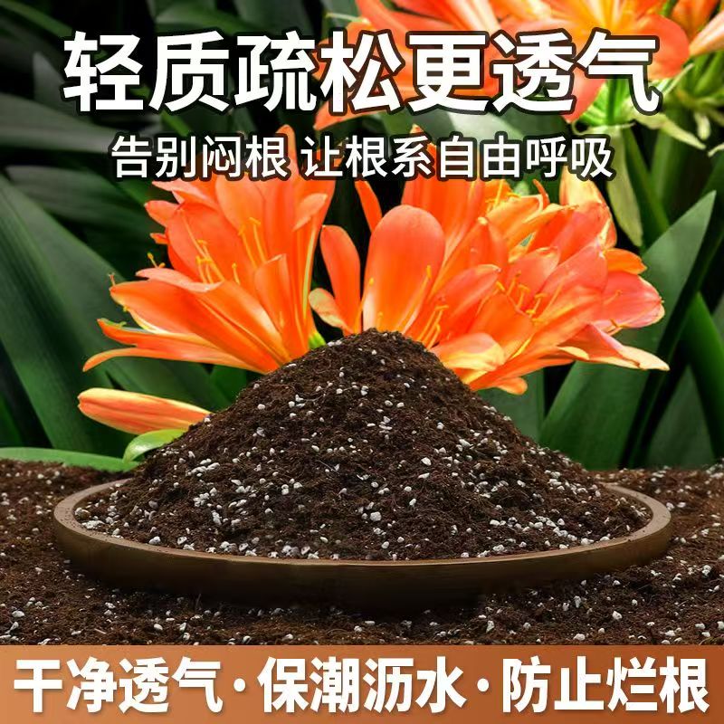 君子兰营养土好用不烂根
