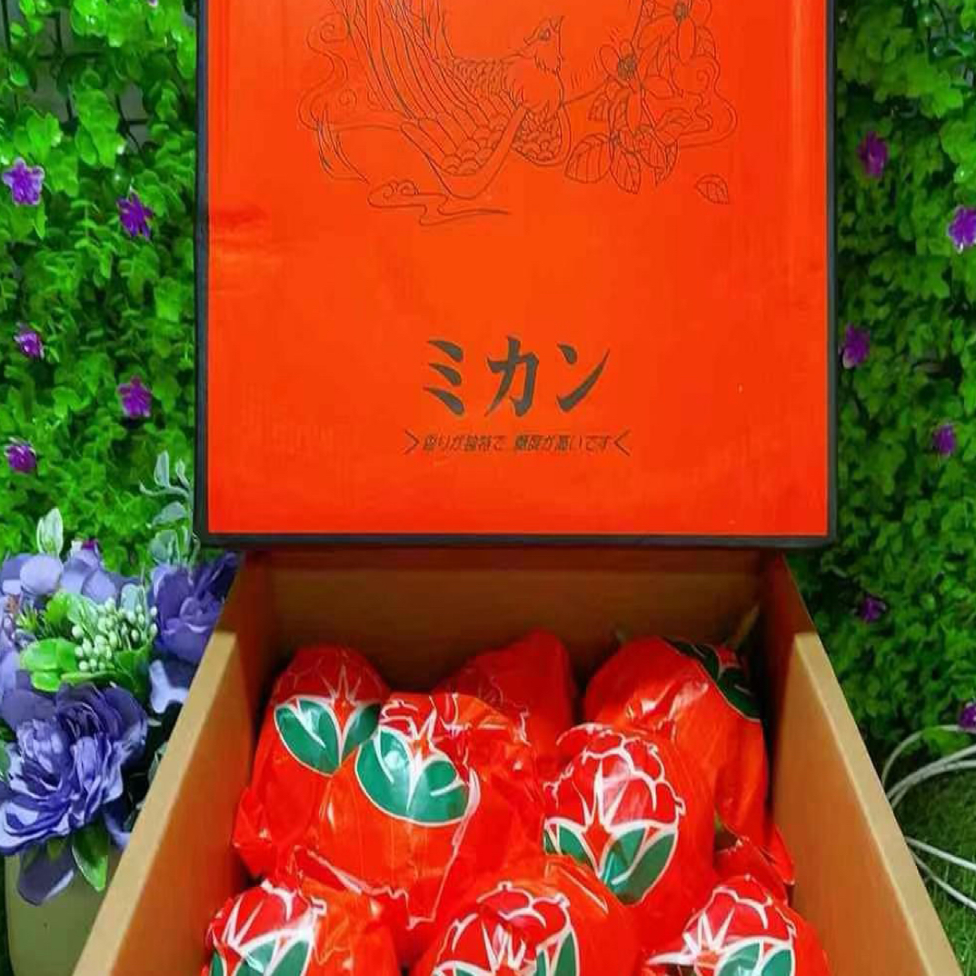 唐氏寸金地春见耙耙柑带箱约9斤（甜嫩多汁真丑橘）四川省