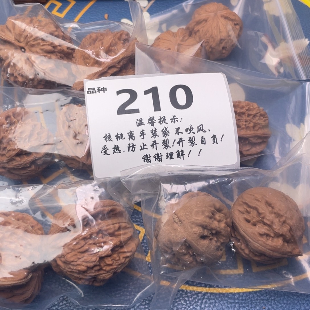 文玩核桃把件210号6对带霸王龙