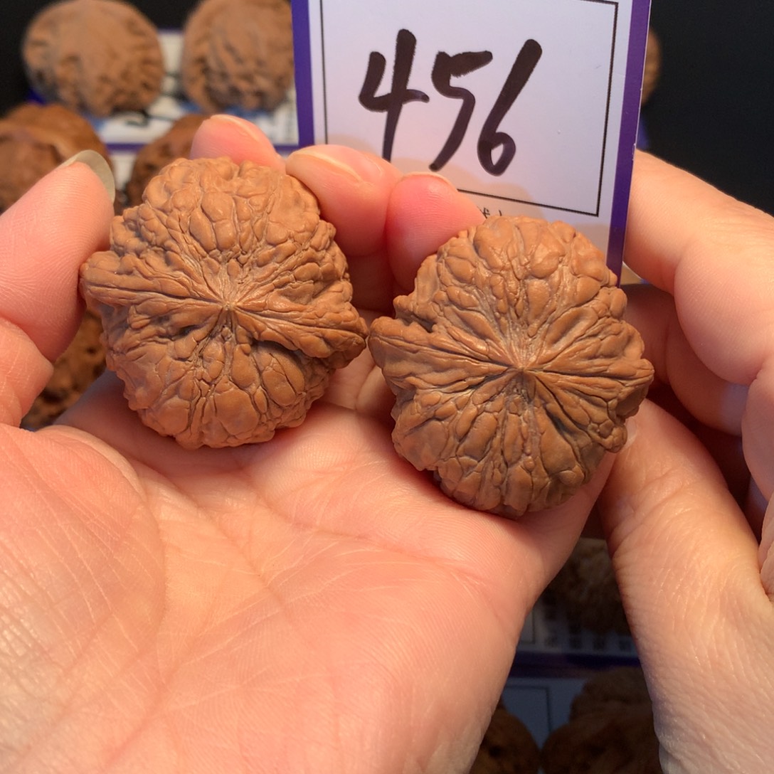 核桃456和尚头3.9全品