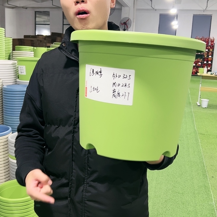 特价6号口32高27.7果绿色7只无托