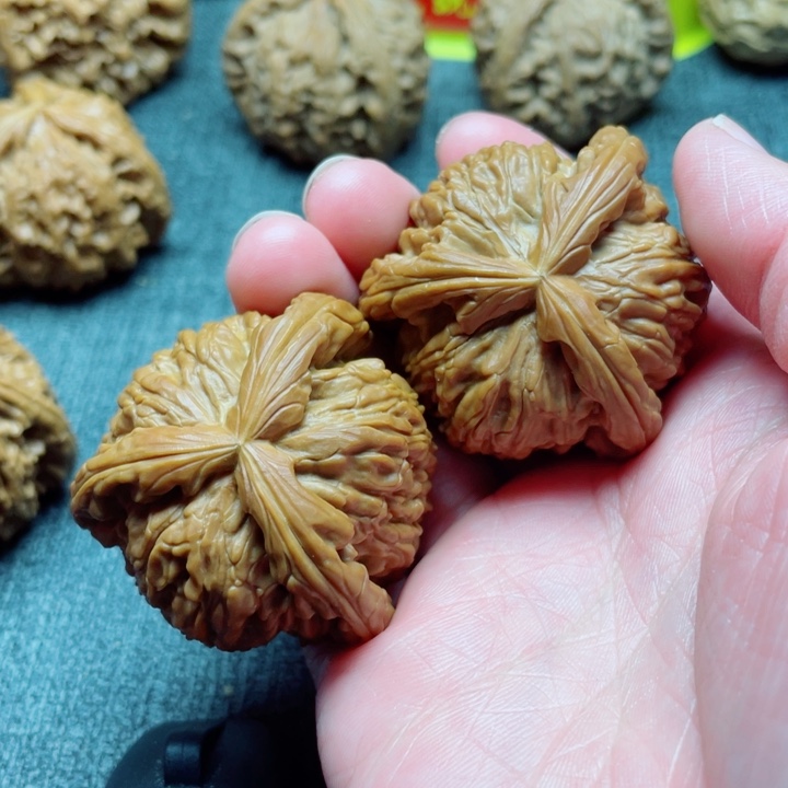 手工三棱白狮子三棱