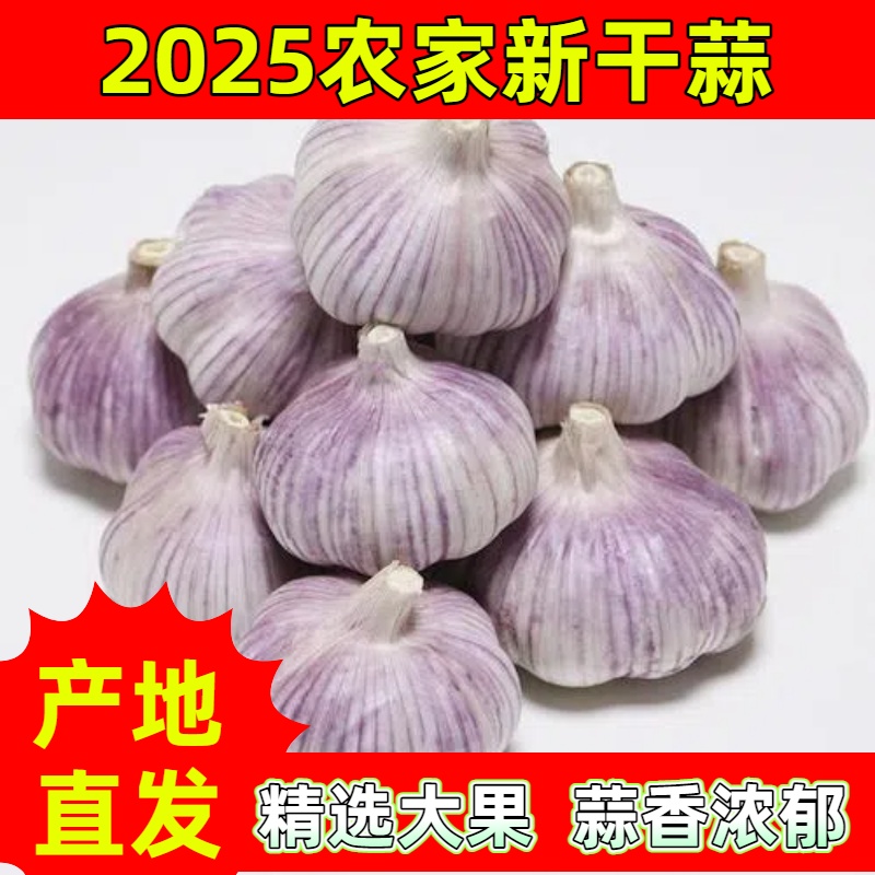 【2025年新干蒜】干大蒜5斤1斤3斤9斤紫白皮大蒜农家干大蒜杞县大蒜