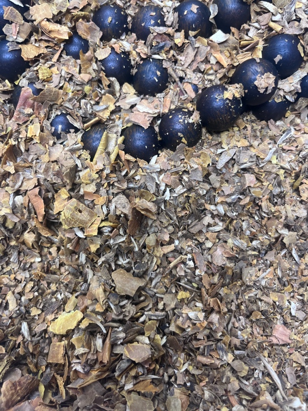 沉香E500二哥精选文玩木作