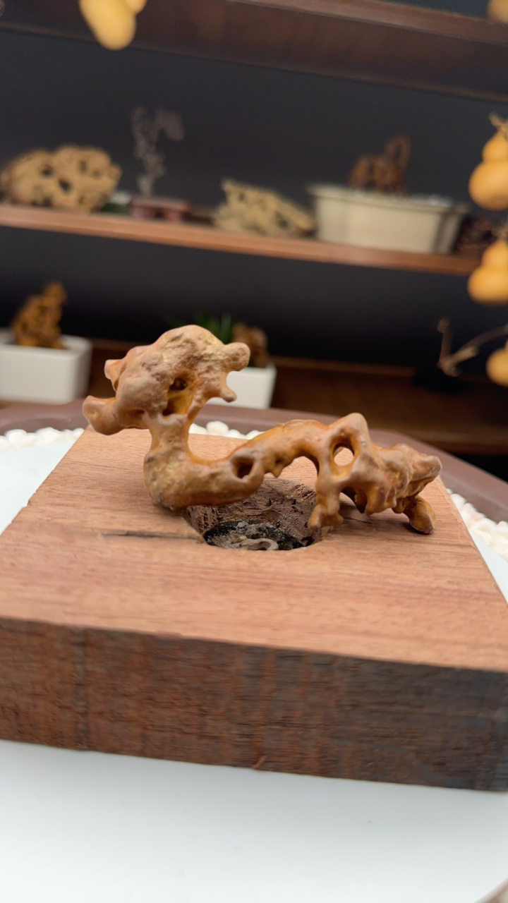 太湖水石精品原皮裸石9.5cm*4cm摆件