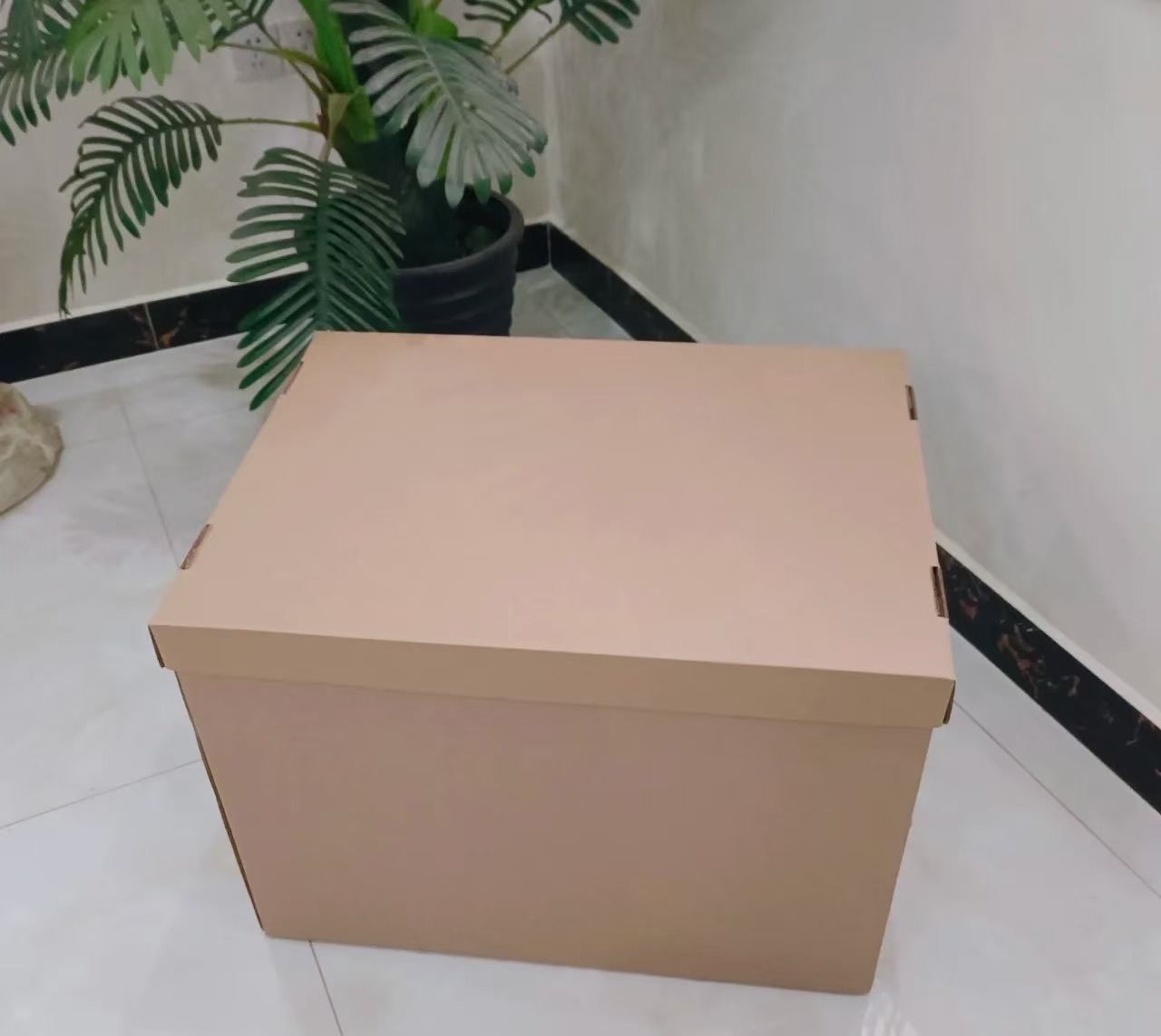 （勿拍）打包箱 （以直播间主播展示为准）