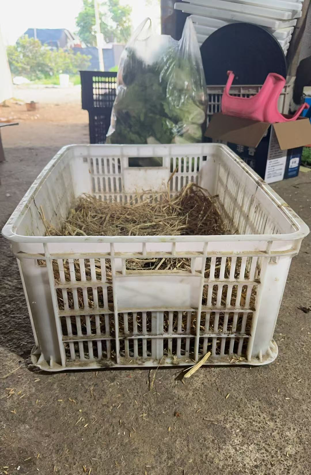 小金塑料收纳筐简约储物