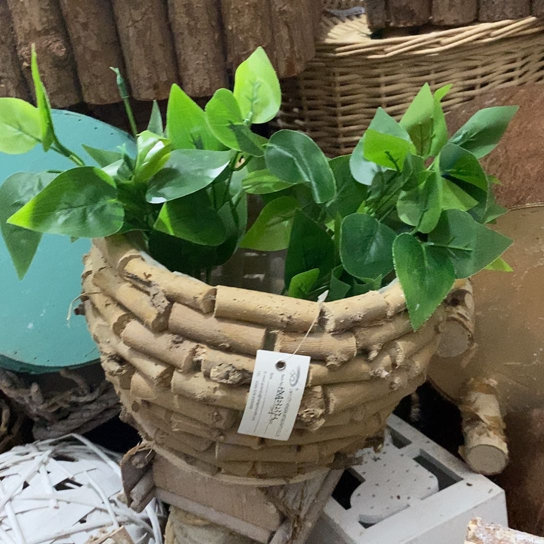 @***沐直播间价格一只花盆