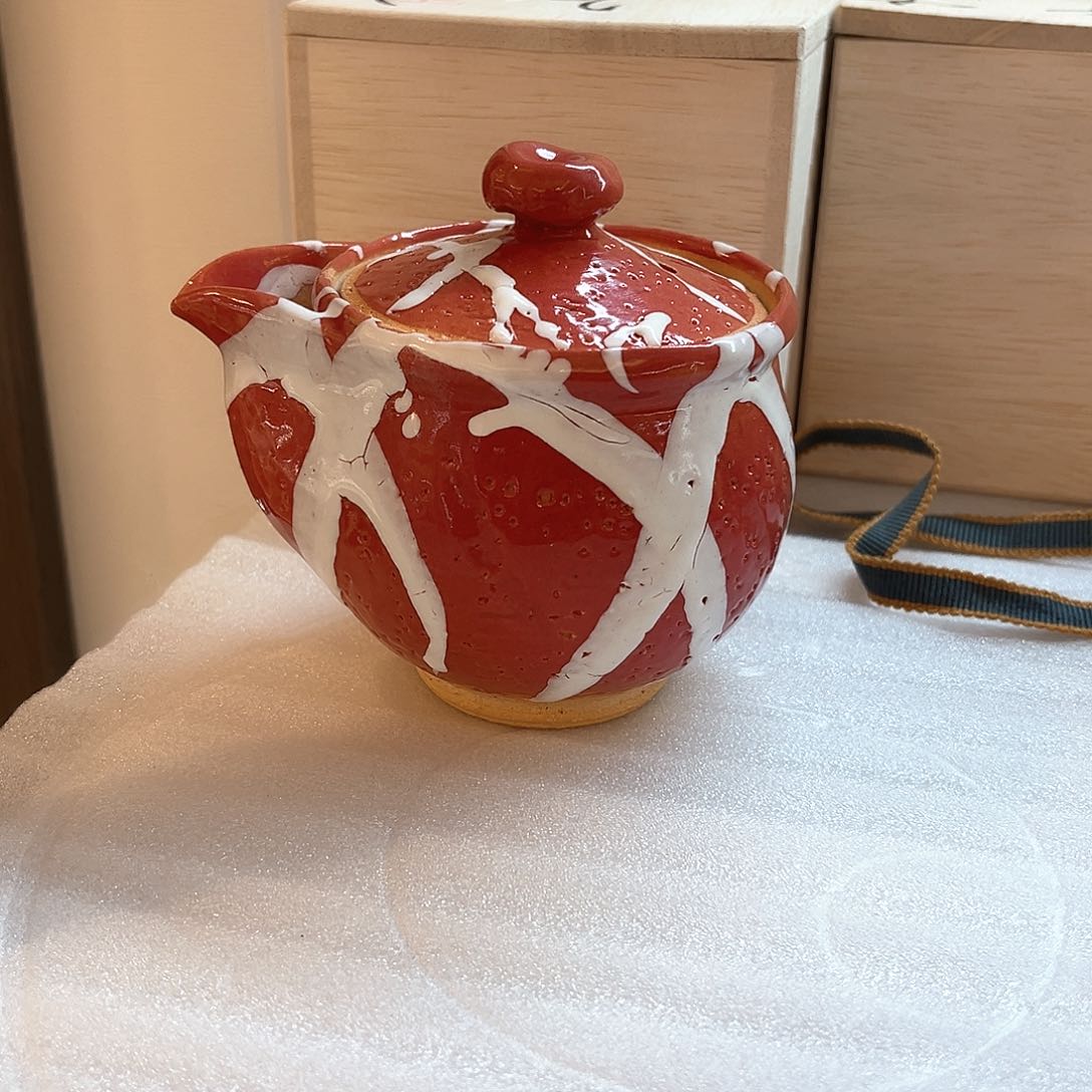 盖碗猫**?在家门口看到的小猫和我都