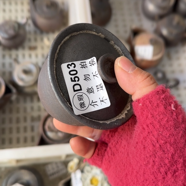 紫砂茶壶柴烧福利新品多多