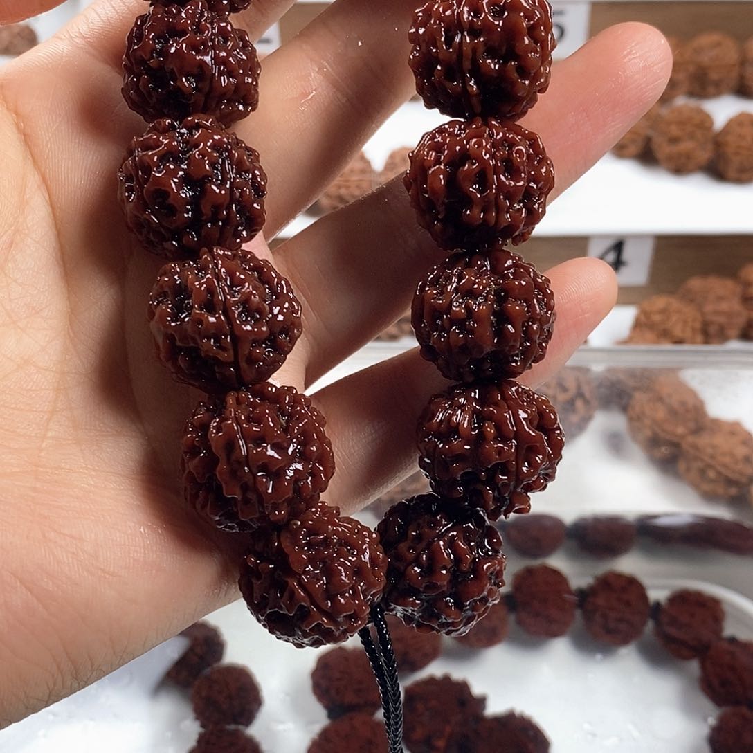 金刚菩提手串精品梅花蜂窝双龙