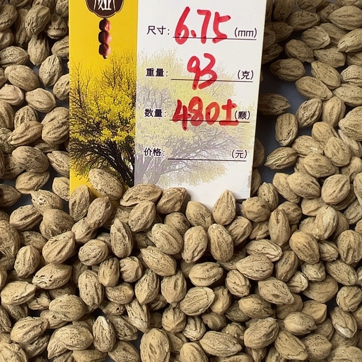 响***当吊坠柏香籽/百香籽朵娅精品柏香11号籽