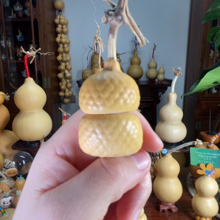 菠萝包葫芦饱满可爱