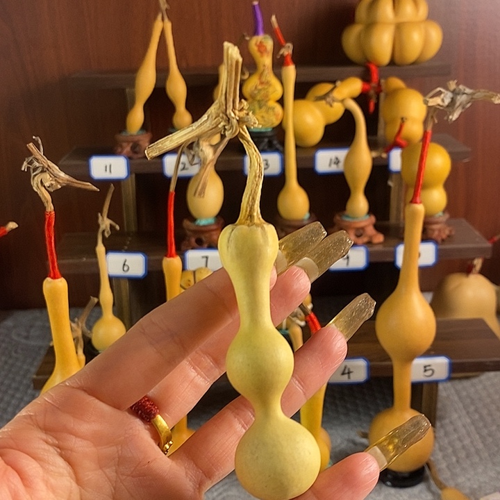 风***子这里不需要太贵也不会去卖货