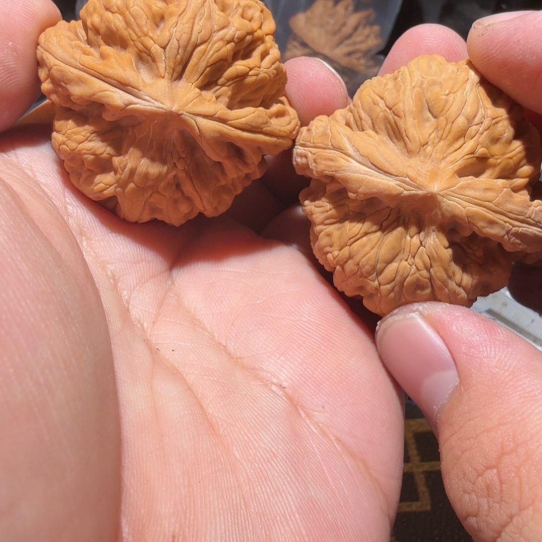 文玩核桃把件红锦鲤